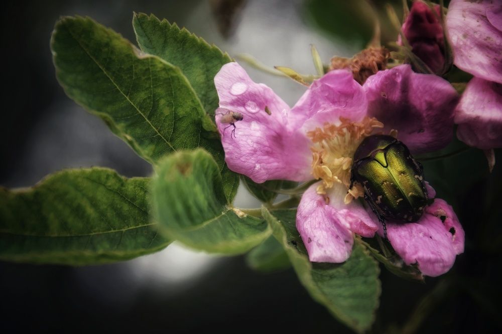 Photograph by Митюшкова Алёна