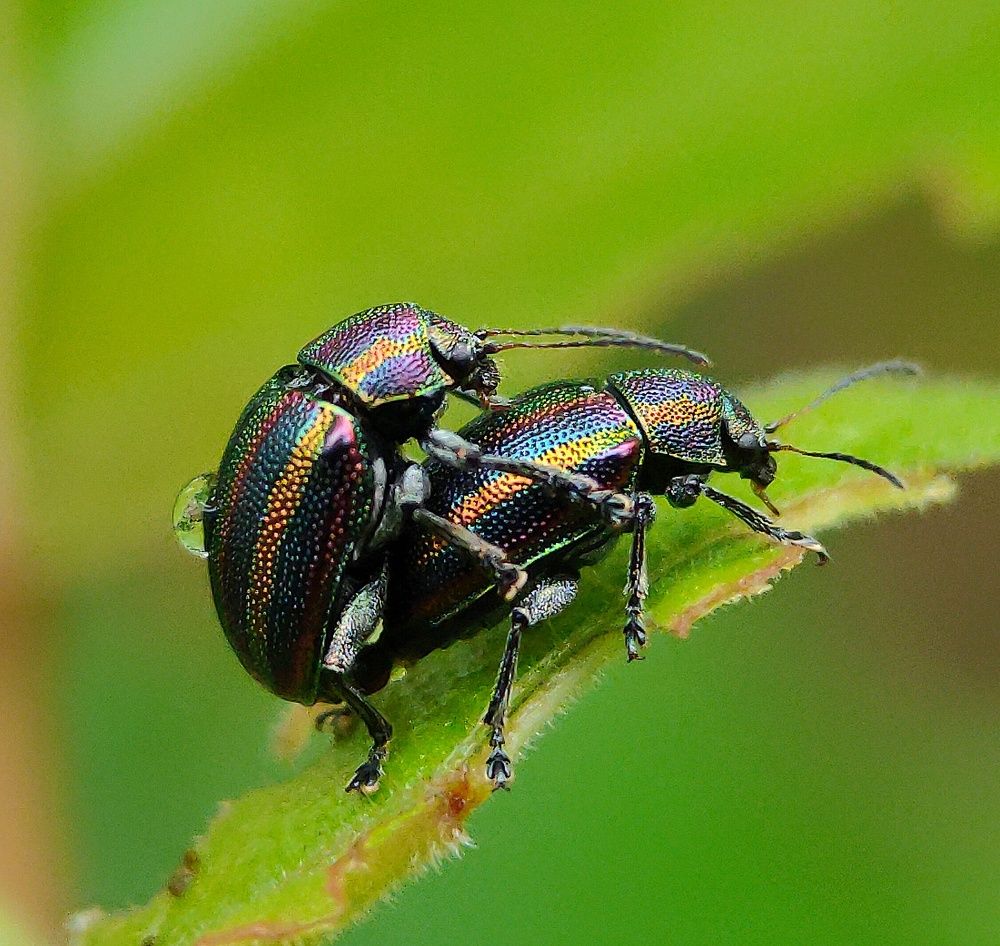 Photograph by Arijit Mahata