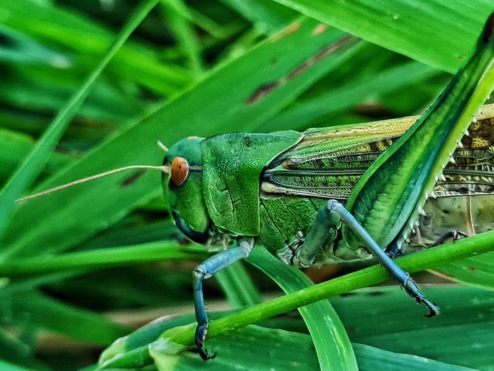 Photograph by Ольга Веселова