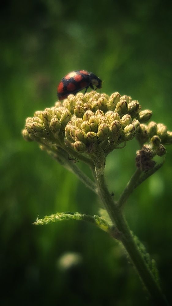 Photograph by Митюшкова Алёна