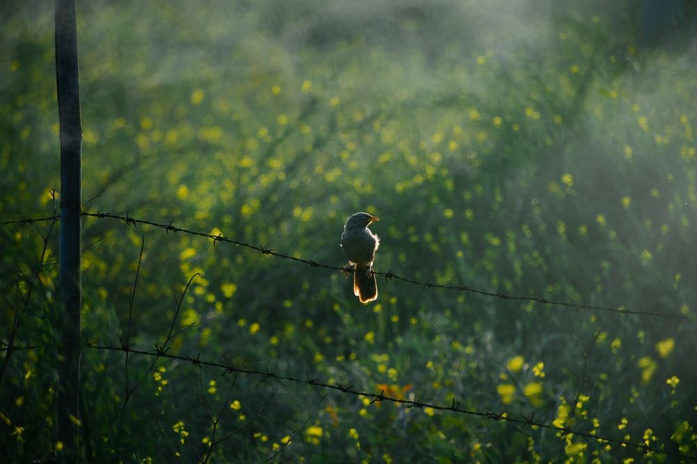 Photograph by Tanish Mehta