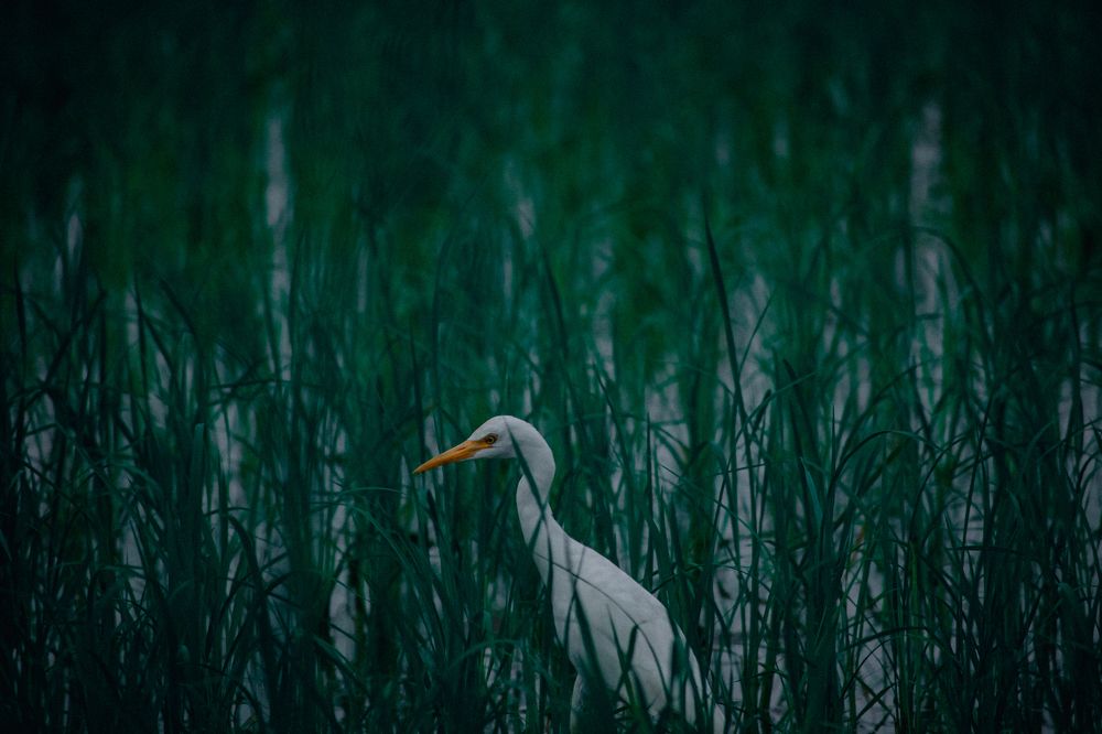 Photograph by Tanish Mehta