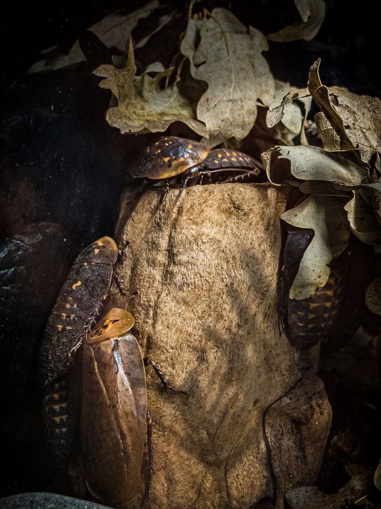 Photograph by Хавронина Марина