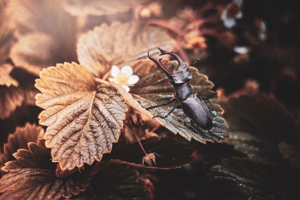 Photograph by Лапшина Владлена