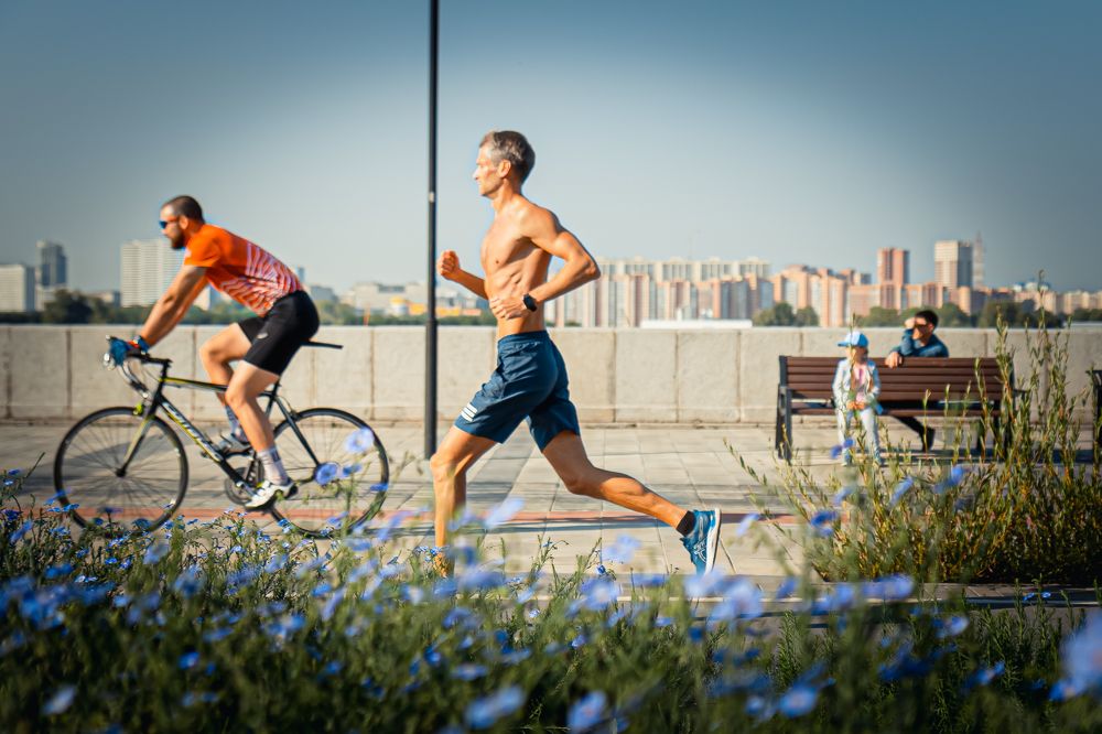 Фотография автора Михаил Наволкокин