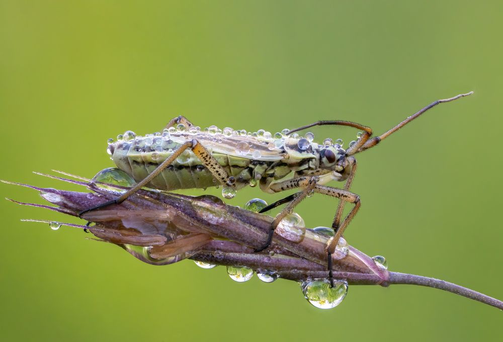 Photograph by Глеб Коровко