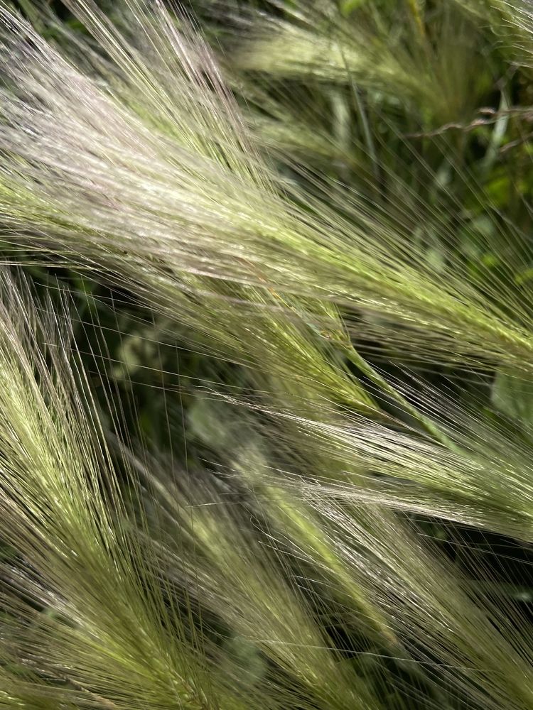 Photograph by Марина Толстопятова