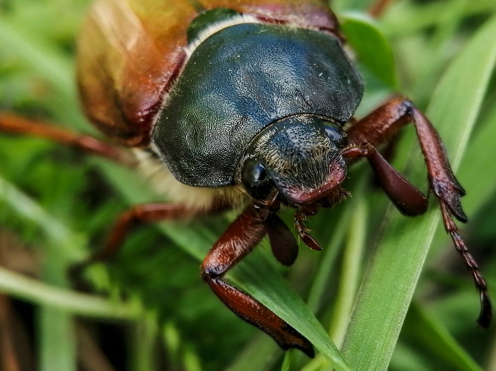 Photograph by Lavlad L