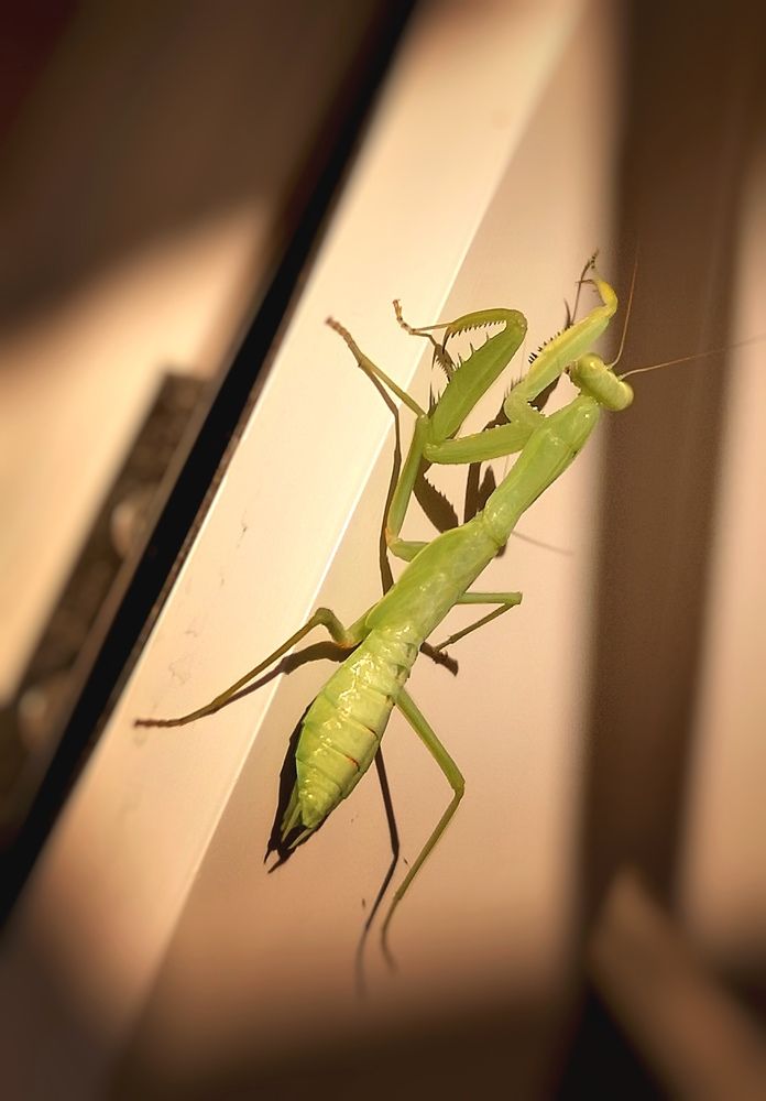 Photograph by Владимир Кривенко