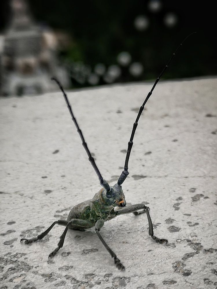 Photograph by Владимир Кривенко