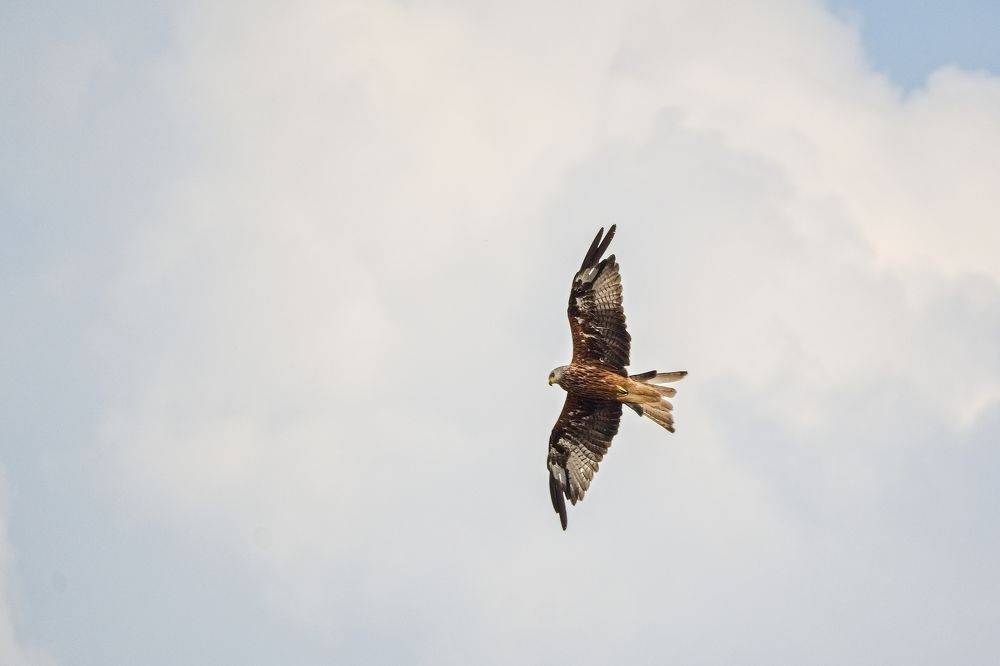 Photograph by Jan Musil