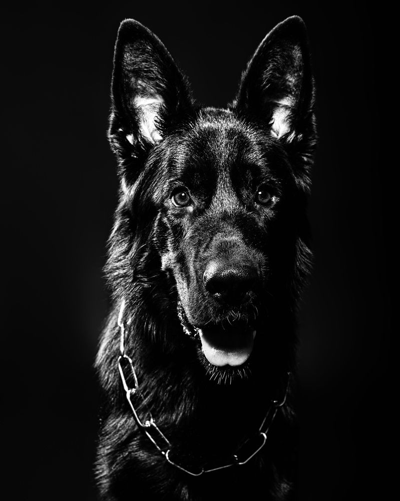 Photograph by Екатерина Рябкова