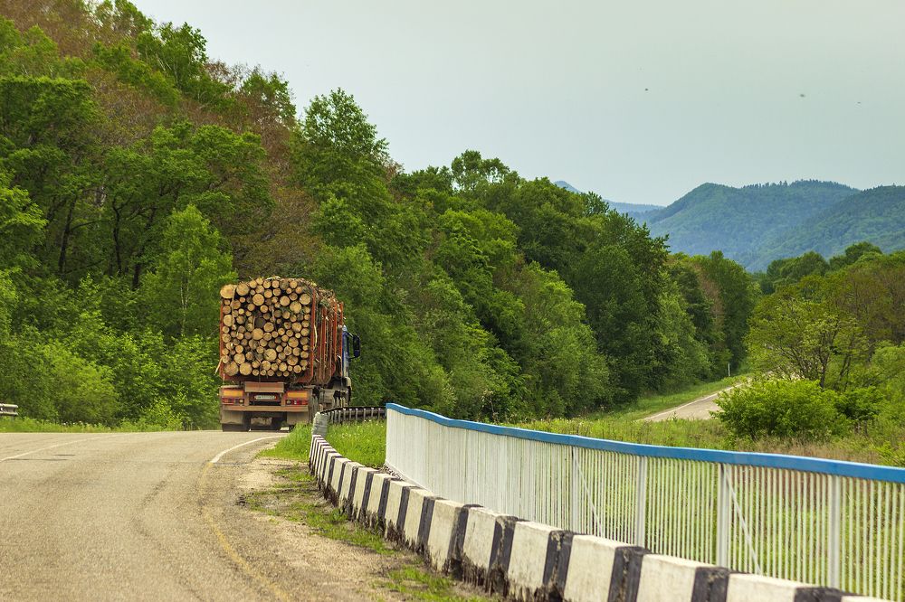 Photograph by Sergey Tsubanov