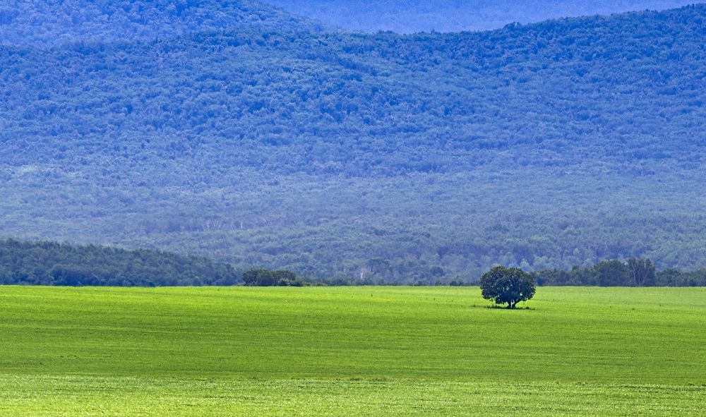 Photograph by Sergey Tsubanov