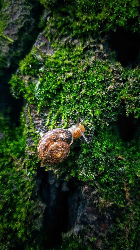 Photograph by Митюшкова Алёна