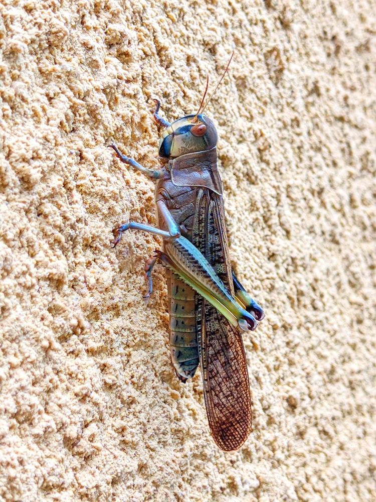 Фотография автора Наталья Синицына