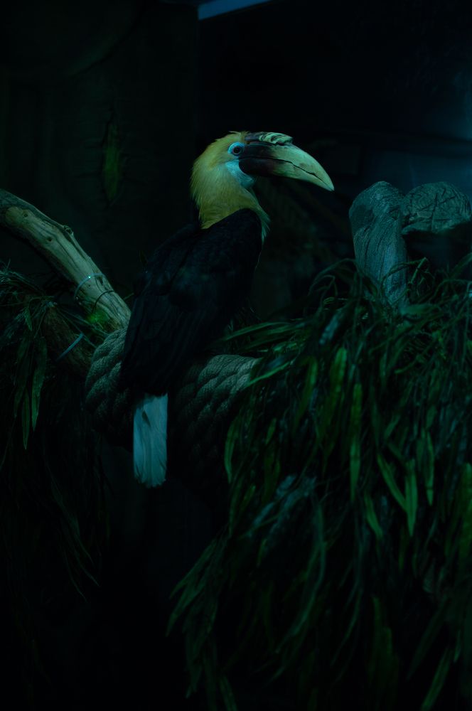 Photograph by Вика Нова