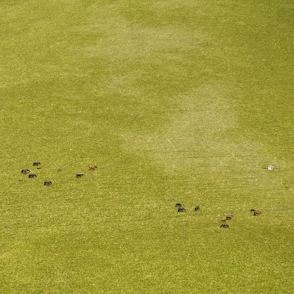 Photograph by Мария Кобыльченко