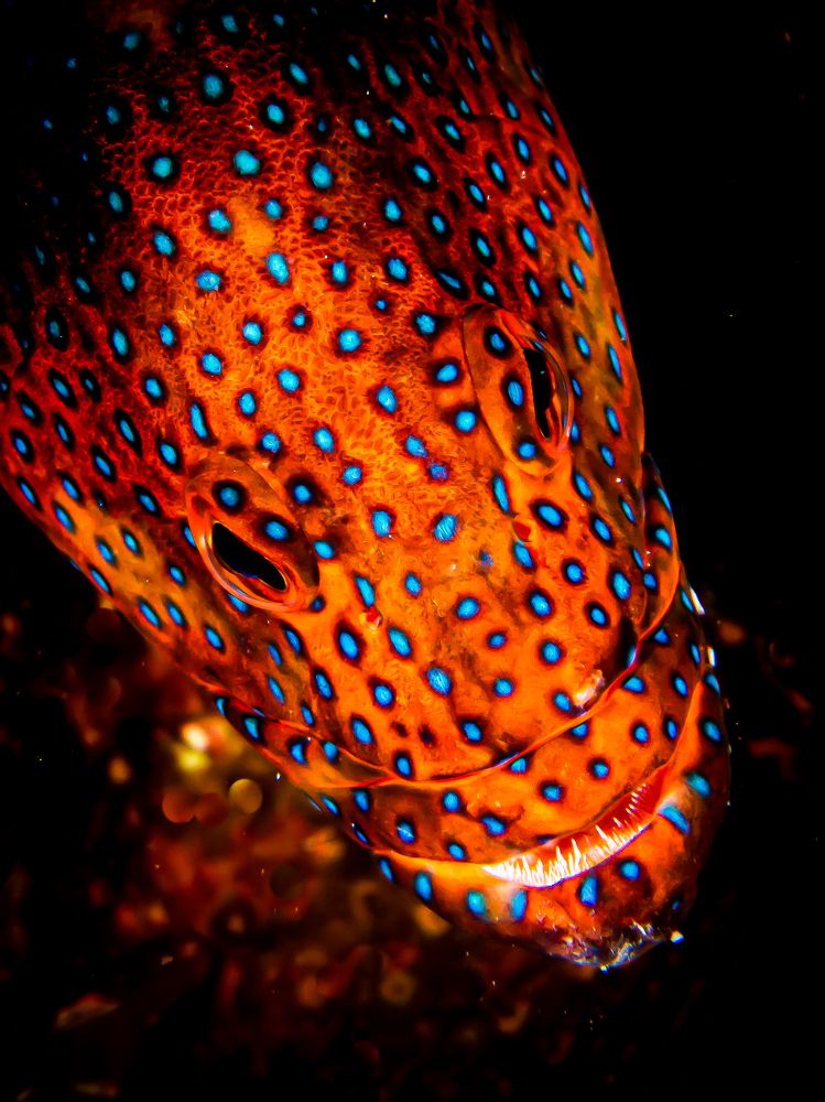 Photograph by Alexander Plakida