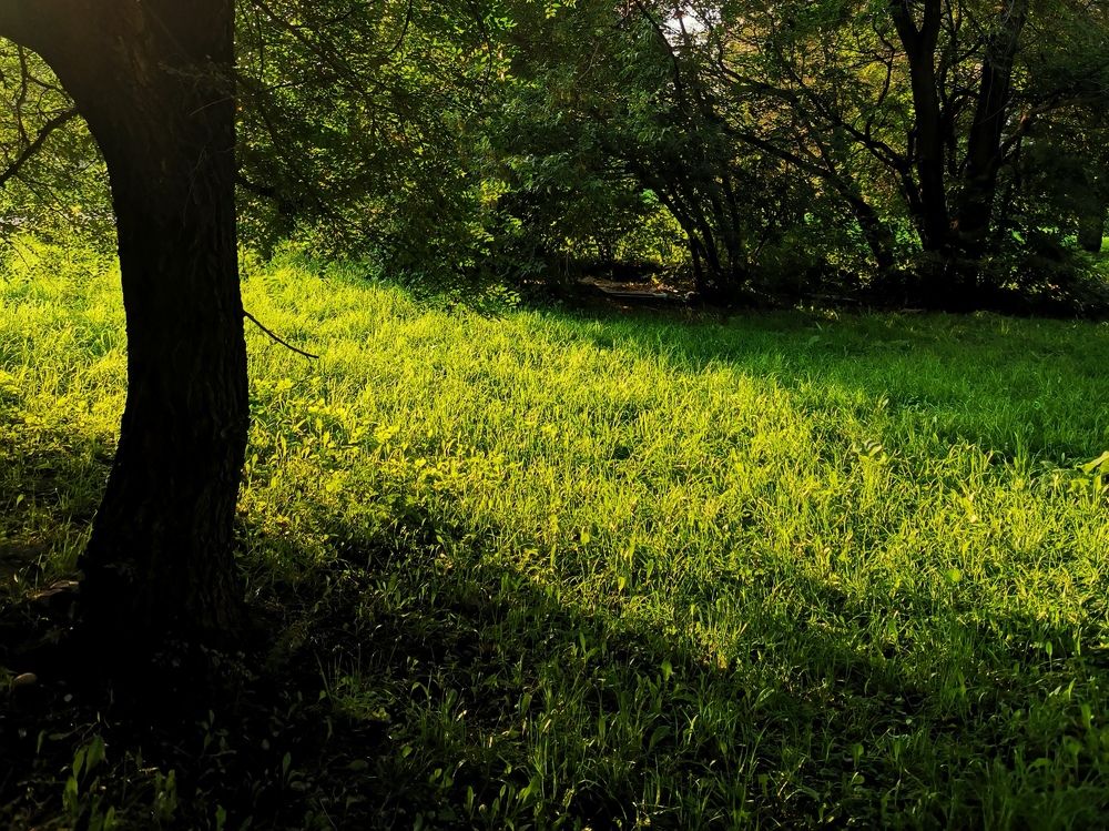 Photograph by Михаил Денисенко