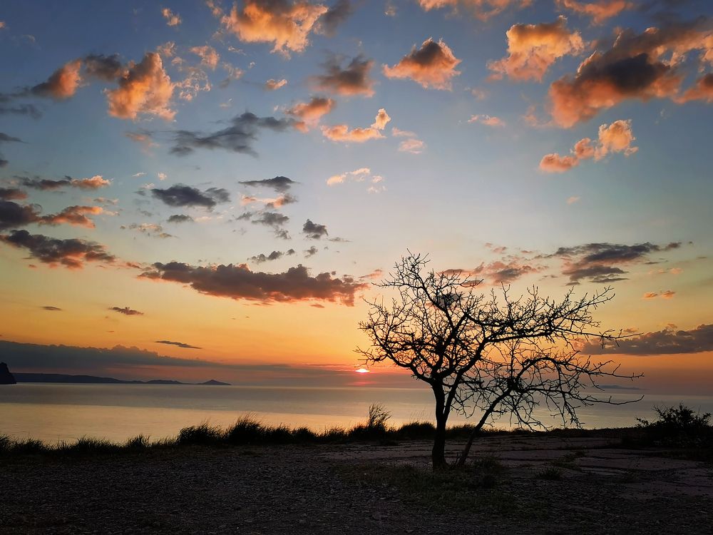 Photograph by Дмитрий Рассыльщиков