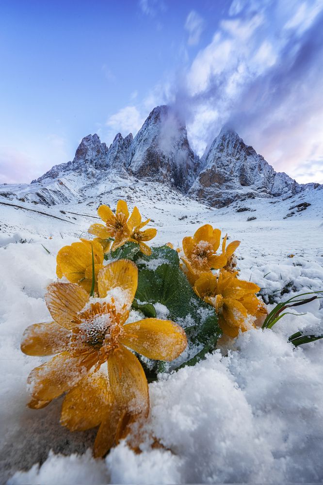 Photograph by Екатерина Рябкова