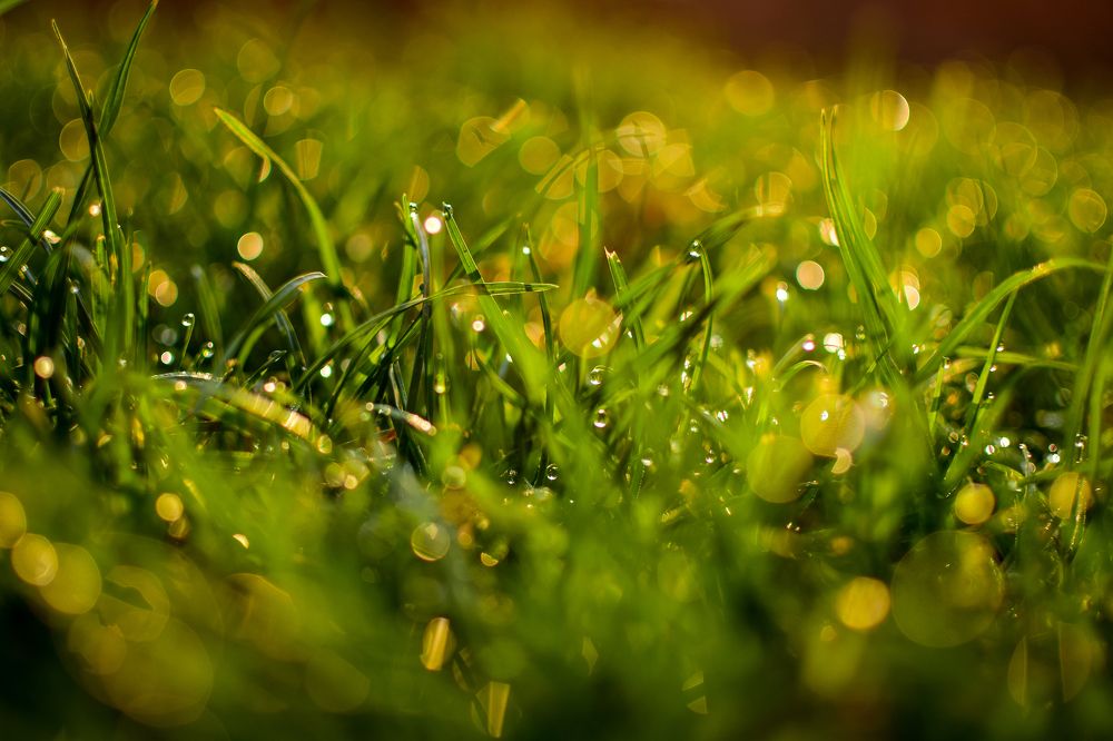 Photograph by Анастасия Донская