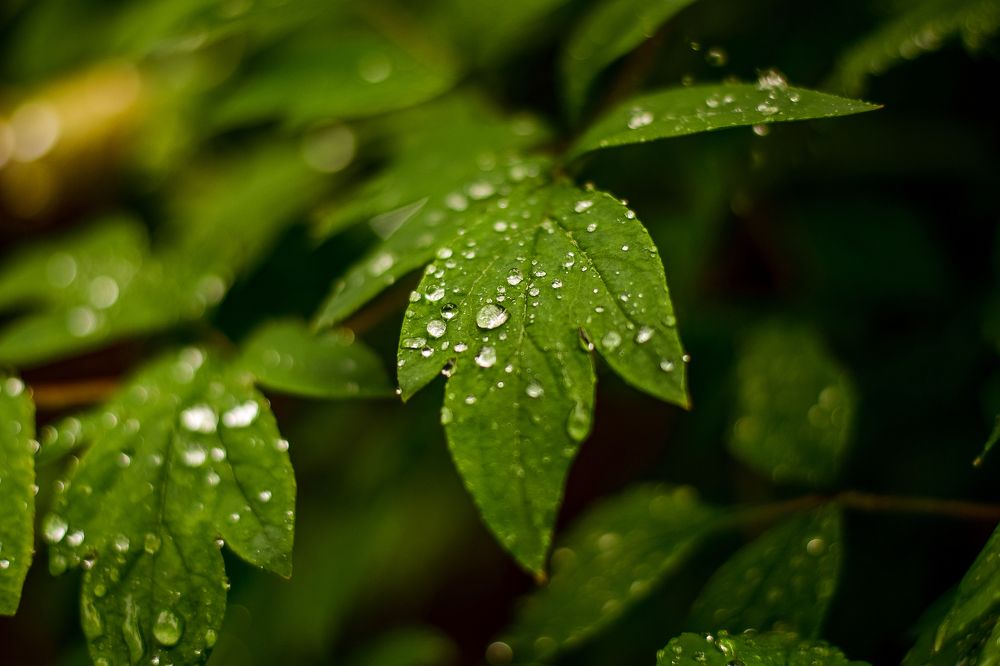 Photograph by Анастасия Донская