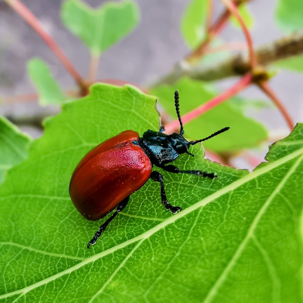 Фотография автора Дмитрий