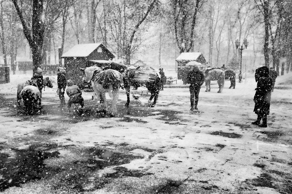 Photograph by Андрей Царев