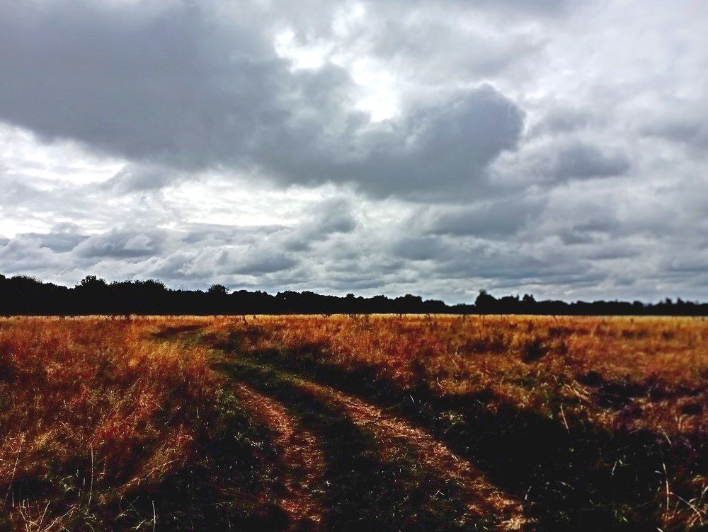 Photograph by леонид натапов