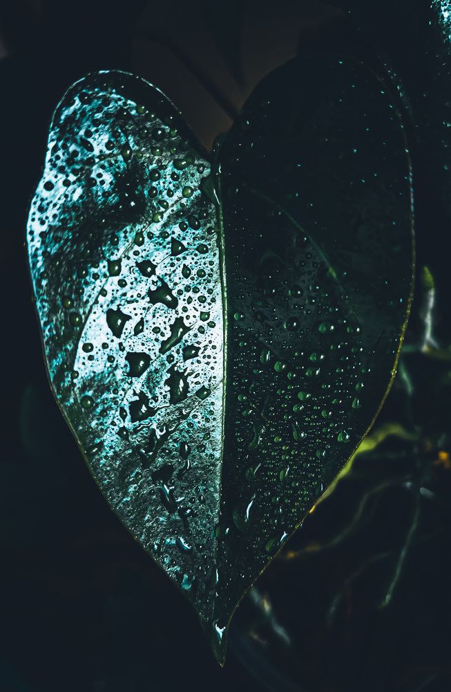 Фотография автора Светлана Кузьмина