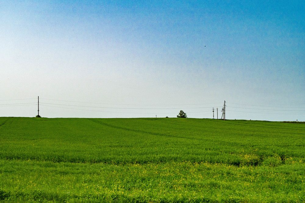 Photograph by Дима Савин