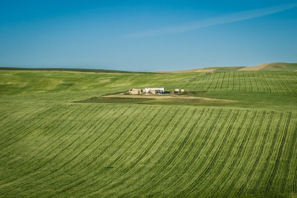 Photograph by SOUFIANE EL KADAOUI