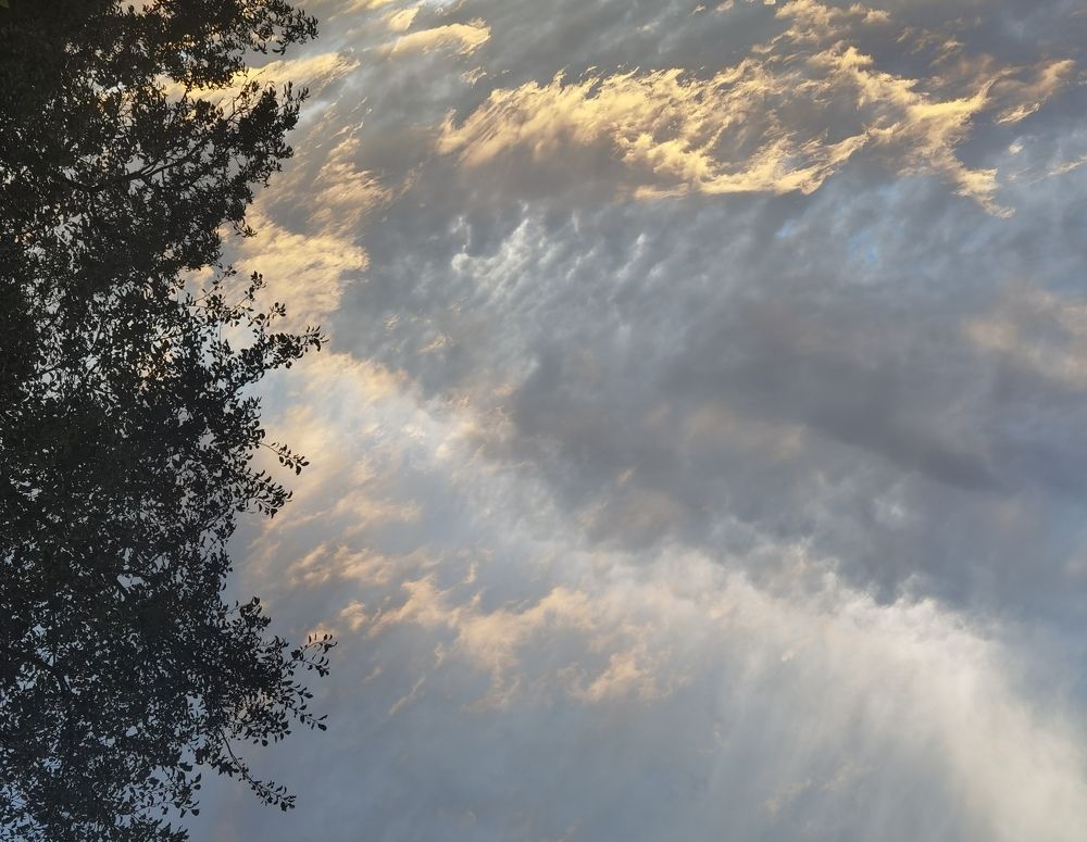 Photograph by Олеся Ивановна Жанько