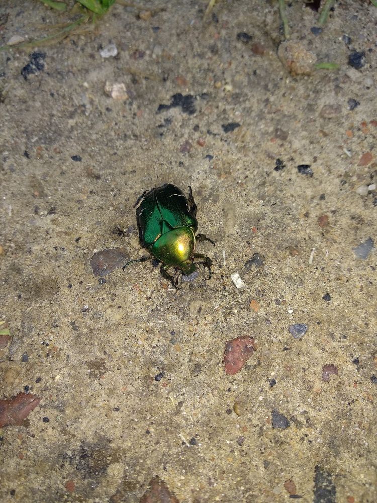 Photograph by Владислав Барышов