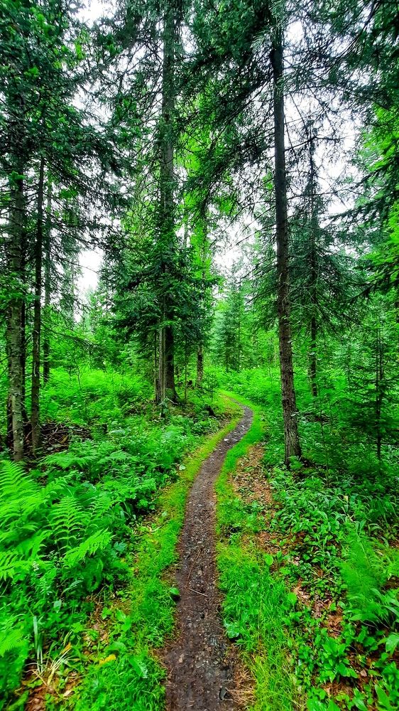 Photograph by Артем Штылев