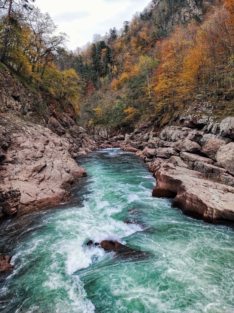 Photograph by Владимир Караман