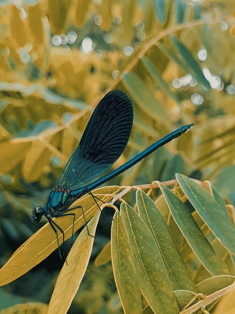 Фотография автора Наталья Синицына