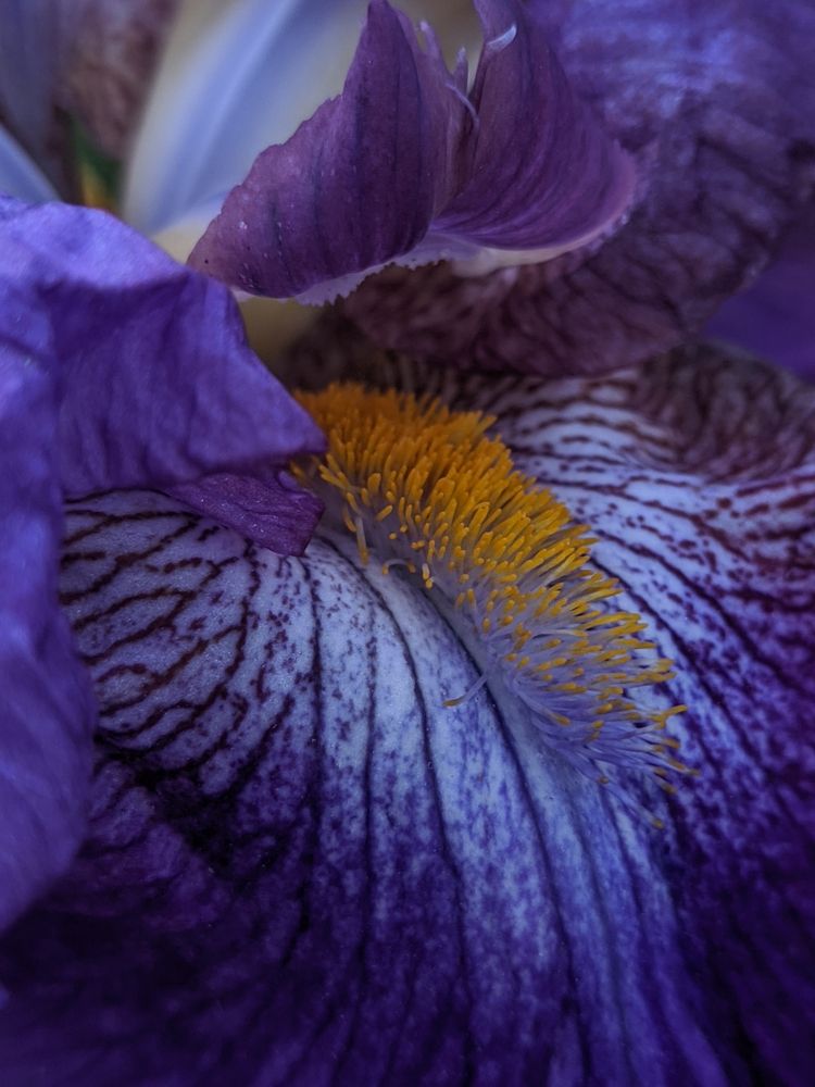 Фотография автора Наталья Синицына