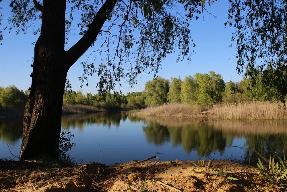 Фотография автора Светлана