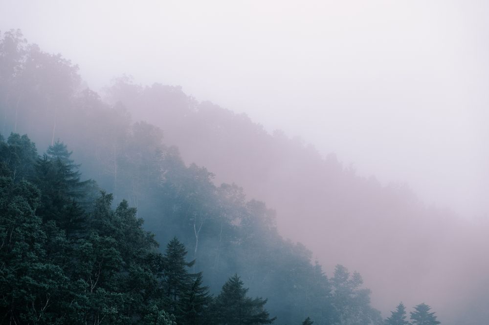 Многослойность