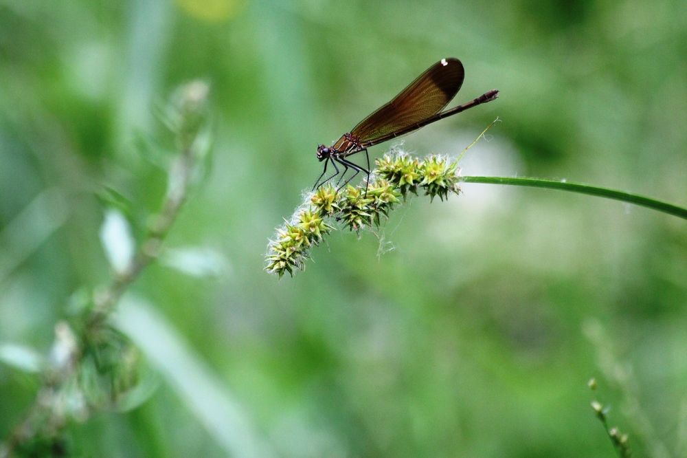 Photograph by Nadzeya