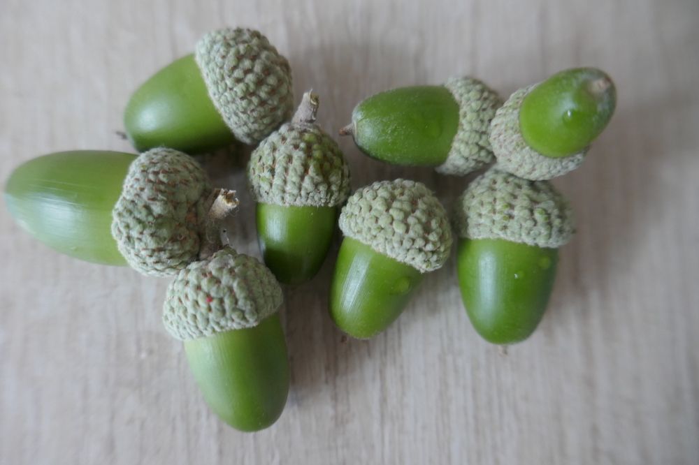 Photograph by Антон