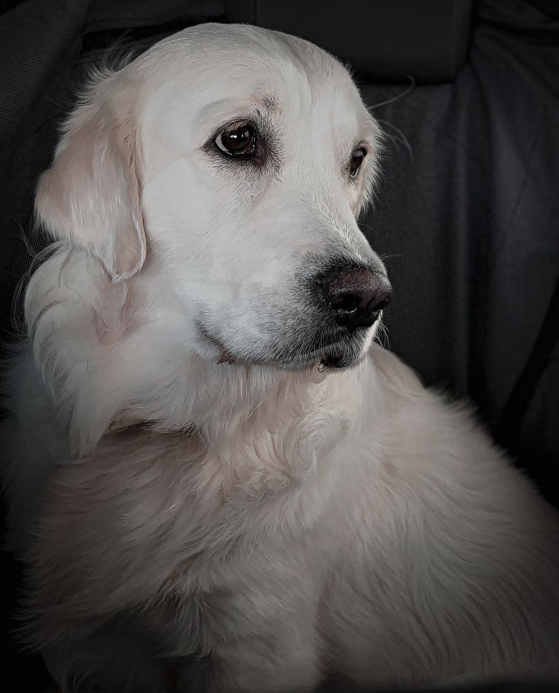 Photograph by 13 anchousov