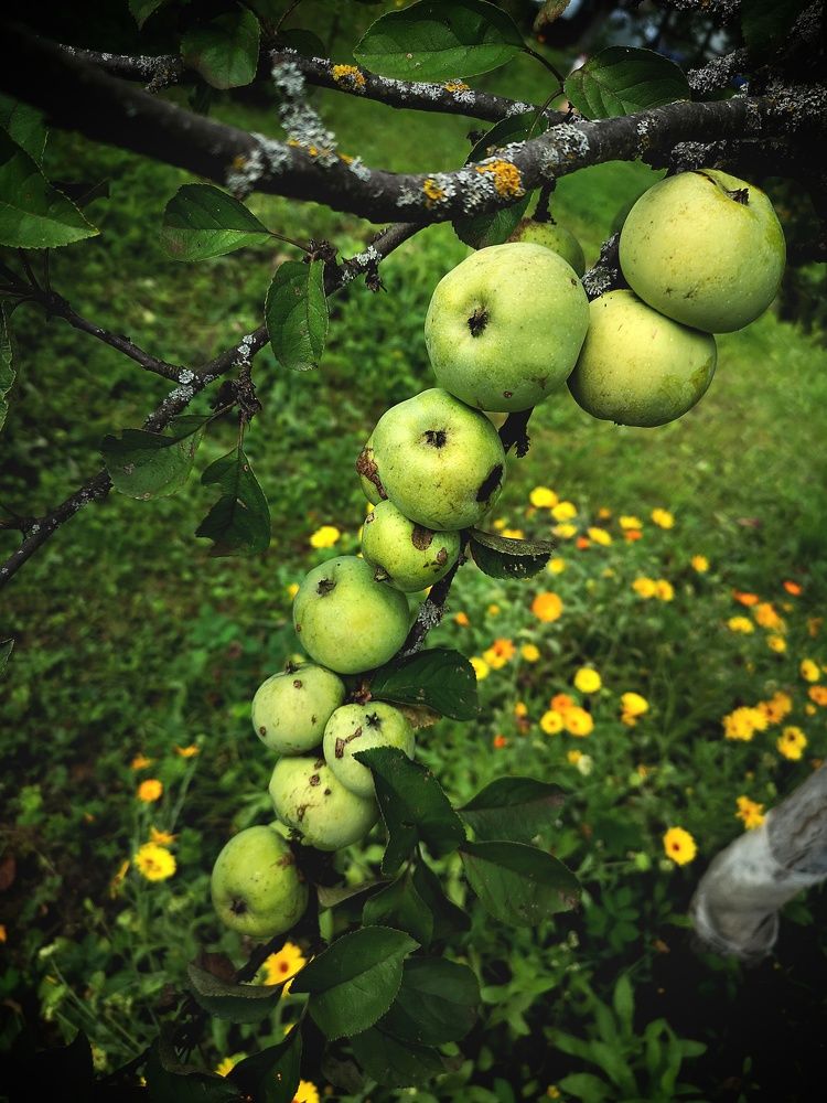 Photograph by Владимир Кривенко
