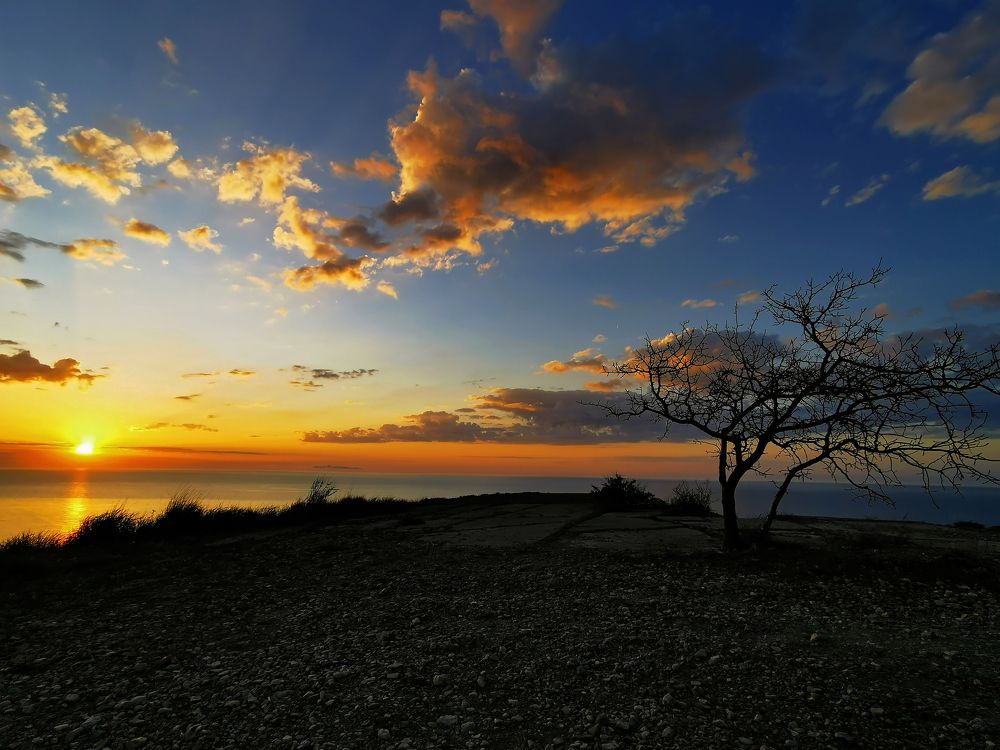 Photograph by Дмитрий Рассыльщиков