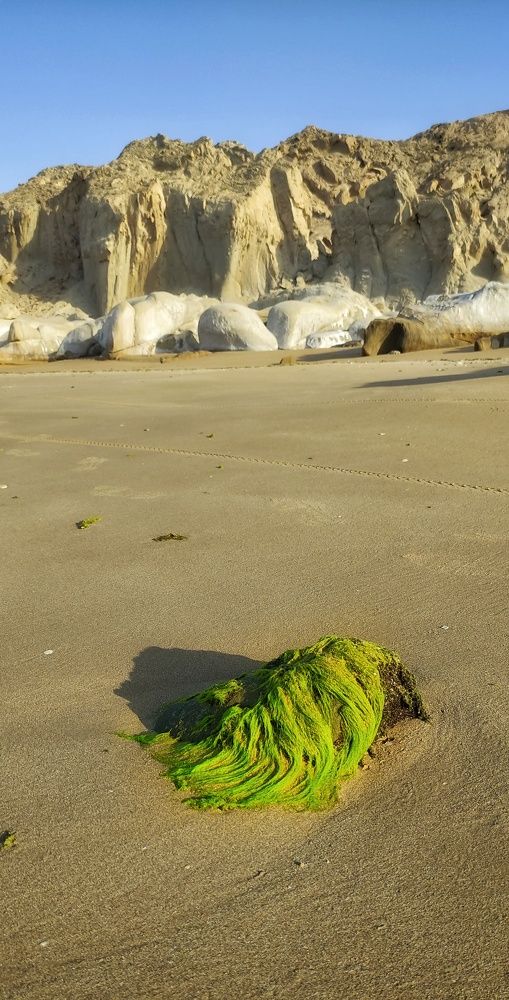 Photograph by Adl Abdolahi