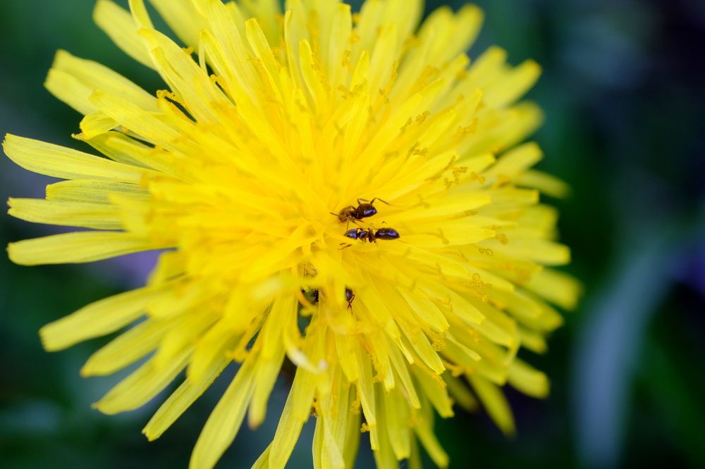 Photograph by Игорь Кад