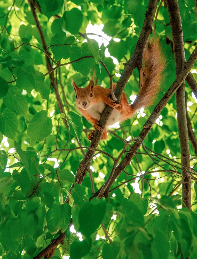 Photograph by Екатерина Якушева